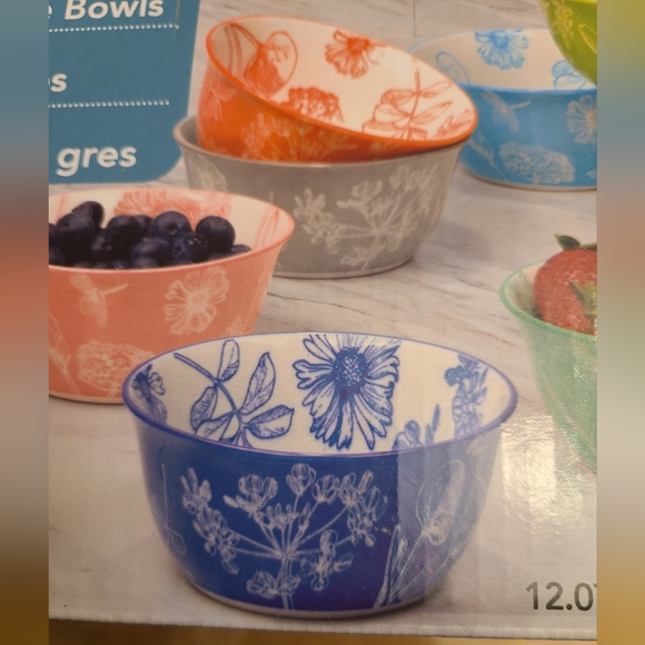 (Ew)Certified InternationalBotanical Set of 10 All Purpose Bowls, 4.75" - Picture 3 of 5